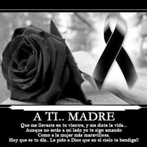 Meet your Posher, Luis